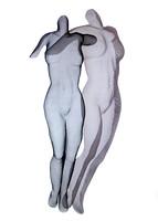 Shadow Sculptures Myra Cooper-Holmes